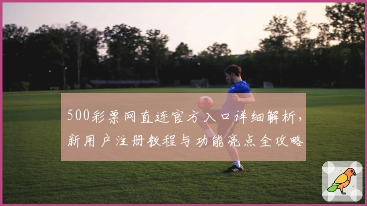 500彩票网直连官方入口详细解析，新用户注册教程与功能亮点全攻略
