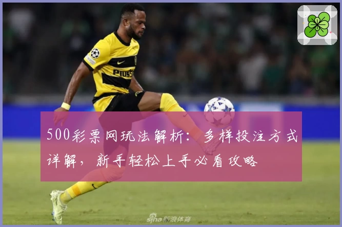 500彩票网玩法解析：多样投注方式详解，新手轻松上手必看攻略
