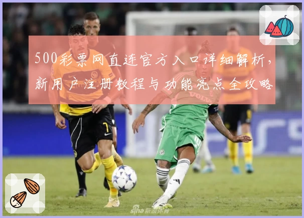500彩票网直连官方入口详细解析，新用户注册教程与功能亮点全攻略