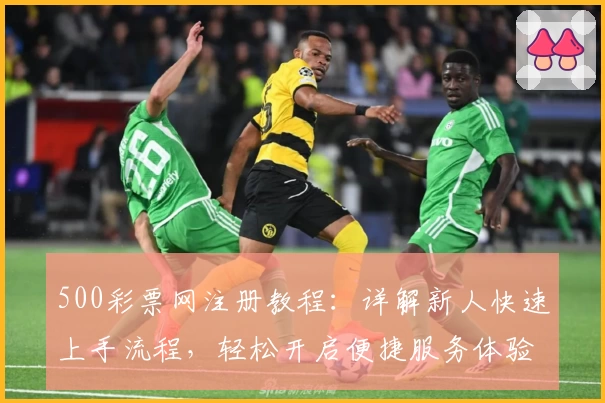 500彩票网注册教程：详解新人快速上手流程，轻松开启便捷服务体验